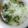 かぴーな's cooksnap of when they made サラサラいけちゃう♪お茶漬け.