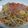 APPLEN's cooksnap of when they made 簡単！でも美味しい！焼うどん.