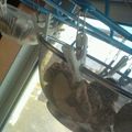 あいしぃ's cooksnap of when they made 干ししいたけ　（簡単干すだけ）.