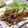 mutsu＊'s cooksnap of when they made ごぼうチップス.