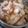 ピロピロコ's cooksnap of when they made 鶏手羽元の甘辛煮.