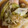 手抜きクック's cooksnap of when they made サーモンと九条ネギのバター醤油焼き.