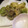 あかねやねん's cooksnap of when they made ふきのとうの天ぷら.