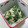 あっこ姉's cooksnap of when they made クレソンとささみのごま味噌マヨあえ.