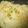 DAINAOH's cooksnap of when they made あさりごはん　（旨味たっぷり）.