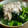 日乃ひかり's cooksnap of when they made 絶品？かぶの葉とツナマヨのご飯の友.