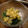 ＫａＨｏ☆Ｍ's cooksnap of when they made 簡単もう一品！ほうれん草の中華風サラダ.