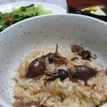 ともこキッチン's cooksnap of when they made これもイカ飯Ⅱ◆ホタルイカです♪.