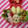 るらちゃん's cooksnap of when they made 簡単美味! ほうれん草とベーコンの炒め.