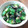 ᗩⓘᗰⓄ's cooksnap of when they made オクラの和え物.
