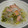 しいマイボトル's cooksnap of when they made 塩鮭とキャベツと白滝の白だし炒め.