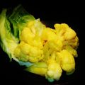 ひさかた's cooksnap of when they made ❀カリフラワー の カレーピクルス❀.
