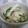 わかわかｗ's cooksnap of when they made 独活(うど)の甘酢漬け.