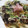miyuki12's cooksnap of when they made お好み焼き風 キャベツと糸こん炒め.