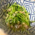 クックBS4CL7☆'s cooksnap of when they made 豆苗とツナのレンチン和え.