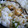 キャシーキャサリン's cooksnap of when they made 簡単！！　たくわんとシソおむすび♪.