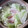 コーヒーたん's cooksnap of when they made 簡単☆キャベツと豚肉の重ね蒸し.
