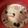 クックTRS9XY☆'s cooksnap of when they made きのこのクリームスープ.