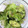 suzuna0808's cooksnap of when they made 簡単ごま油香るきゅうりとレタスのサラダ.