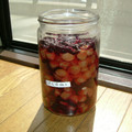 ぼすさん's cooksnap of when they made '06 小梅干しの記録(紫蘇漬け).