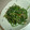 monemaruku's cooksnap of when they made 一味違う♪ほうれん草のごま和え.
