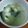 すみれちゃん☆'s cooksnap of when they made 豆腐とわかめのスープ.