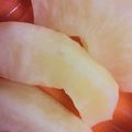 ぐろーばー's cooksnap of when they made 簡単♪スチーマー de 焼りんご♪.