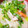 sanahey530's cooksnap of when they made 白菜と大根の具だくさんおかずみそ汁.