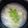 切干大根大好き's cooksnap of when they made 姫皮（たけのこ）、わらびのお味噌汁 ♪.