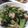 うに１１８'s cooksnap of when they made ✽ハーブチキンとひじきとお豆のサラダ✽.