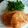 桃がいいなあ。's cooksnap of when they made ハーブ塩豚カツ！.