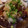 HICHACO_DX's cooksnap of when they made ☆なすと鶏の揚げ浸し☆.