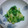 だんご三兄弟母's cooksnap of when they made 筍の木の芽和え.