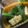 さてぃこはん's cooksnap of when they made ごま油がポイント！小松菜の簡単煮びたし.