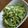 ju_10's cooksnap of when they made 青梗菜のサラダ.