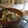 はちみつUK's cooksnap of when they made ♢キノコのスープ粥♢.