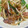 るきじゃむえりー's cooksnap of when they made ごはんがすすむ！もやしのバター醤油炒め.