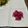 はちみつlove's cooksnap of when they made ☼新玉ねぎのマリネ（紫玉ねぎもおすすめ）.