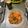 ニッシーマン's cooksnap of when they made トマトソース.