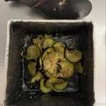 Emily's cooksnap of when they made 超簡単！ ナスの塩もみ.
