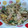 ともさと8888's cooksnap of when they made キャベツとウインナーのオイマヨ炒め.