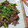 *u_u*mizu_hikaru's cooksnap of when they made 牛肉とアスパラのオイスターソースマヨ炒め.