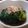 きくっちー★'s cooksnap of when they made 絶品♪ほうれん草のおひたし.