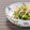 みかんっぴ's cooksnap of when they made 【新タマネギと三つ葉香る梅おかか和え】.