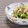 みかんっぴ's cooksnap of when they made 【新タマネギと三つ葉香る梅おかか和え】.