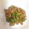 ずんだ餅２２'s cooksnap of when they made 蕗の薹の油炒め入り納豆.