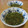 マッハママ's cooksnap of when they made ヘルシー♥とびっこ＆切り昆布のさっと和え.