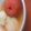 しずらん's cooksnap of when they made 新玉葱とトマトのおでん.