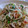 ハナ☆クロ's cooksnap of when they made サクラエビとネギ天カスの焼きうどん！.