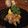grep000's cooksnap of when they made 我慢　我慢の手羽先のからあげ.
